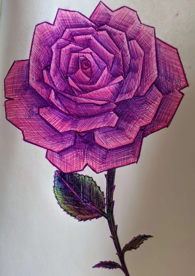 Close-up of a purple rose drawn in a sketchbook